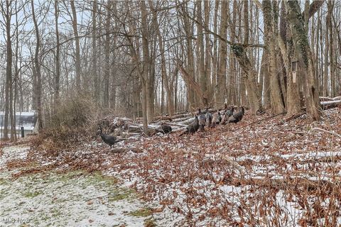 Tiny photo for 7014 River Styx Road, Medina, OH 44256 (MLS # 5179565)