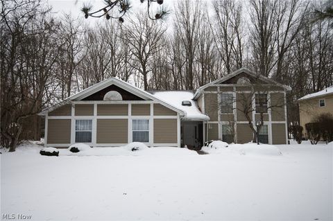 Tiny photo for 1327 Fox Run Drive, Youngstown, OH 44512 (MLS # 5186377)