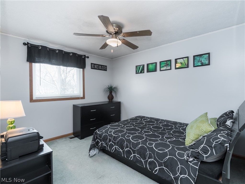 Canal Fulton - Residential