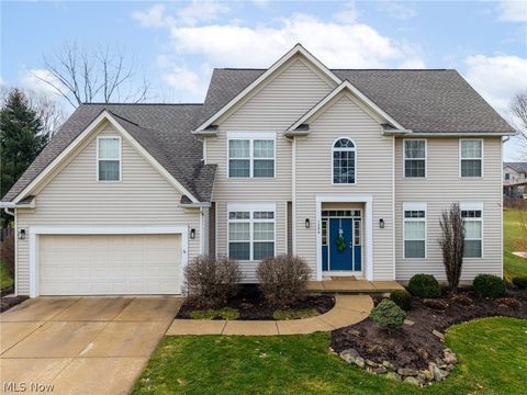 1286 Freeport Drive Medina OH 44256