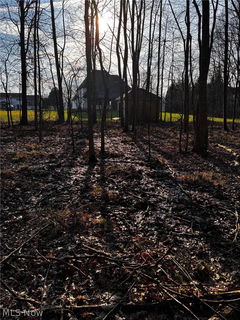 Olmsted 03 - Residential