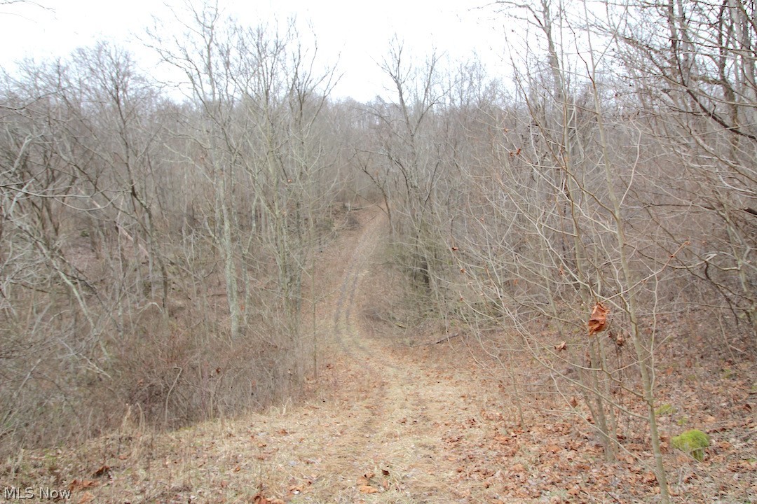 67.536 acres in Noble County. Located off a dead end township road. Rock climber's dream. High walls and lots of rock out croppings. Some trails through property. Should be good hunting for deer, turkey and small game. No mineral rights. Annual taxes are approximately $1017.26.