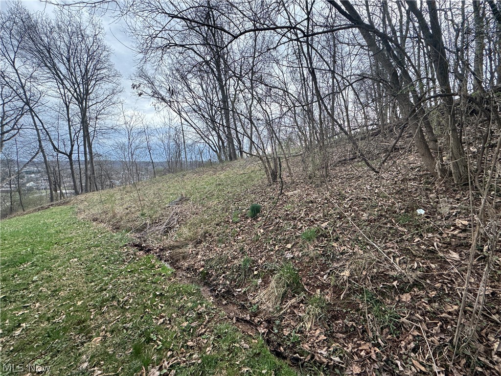 Beatrice Frame - Residential