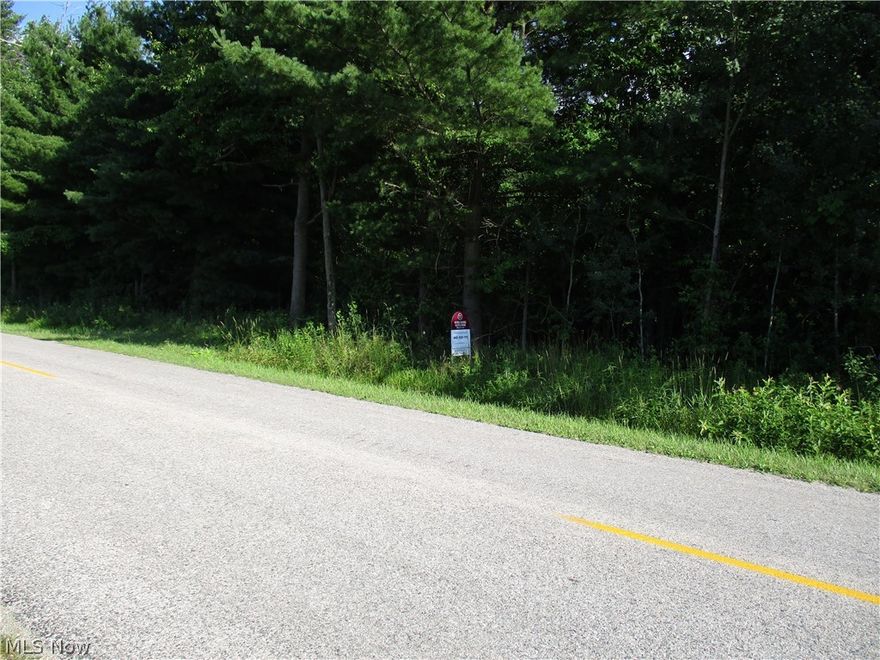 11.19 Acres with 400 foot frontage.  Great wooded building lot!