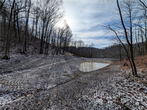 Vacant Land For Sale - 1054 Bergholz Road<br/> Carroll County, Mechanicstown, OH 43908