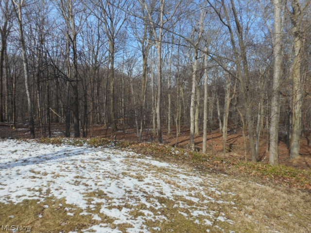 Woodbury Hills Sub - Residential