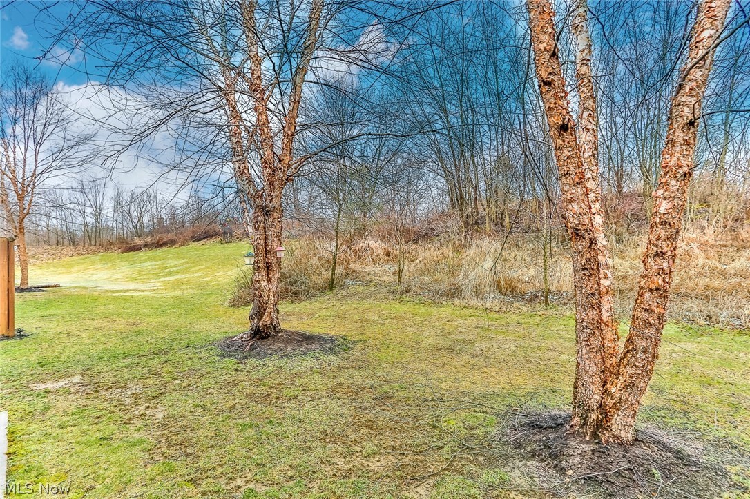 Meadows of Copley - Residential