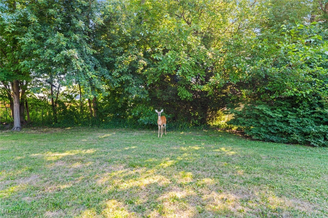 Lake Erie Estates 1 - Residential