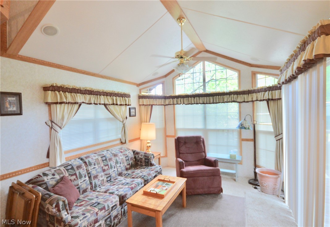 Tall Timber - Residential