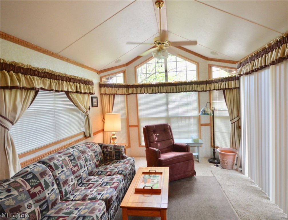 Tall Timber - Residential