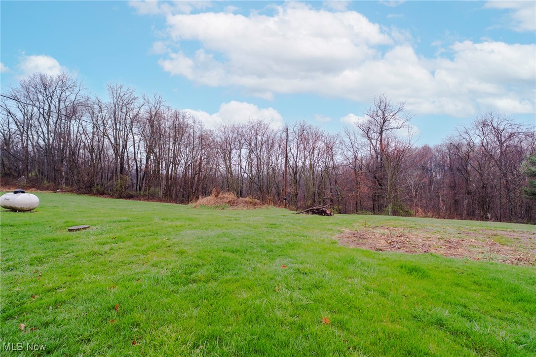 113 State Route 164, Salineville, Ohio image 35