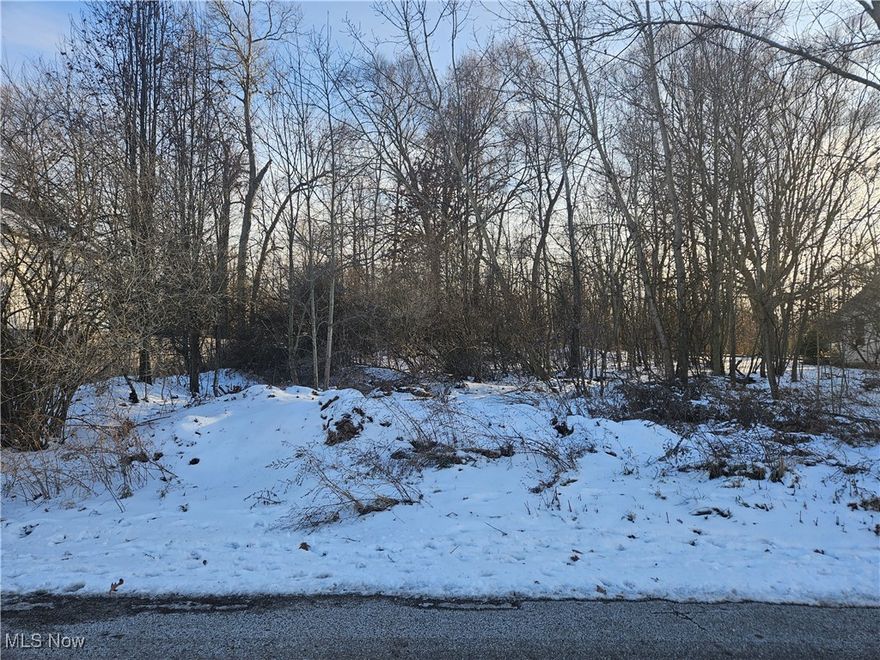 Great affordable building lot in an established neighborhood.  High lot with some trees. utilities available. Close to restaurants.  easy access to the highway, close to Biomed,  Bring your builder or call for recommendations.  Call the county for any building restrictions.