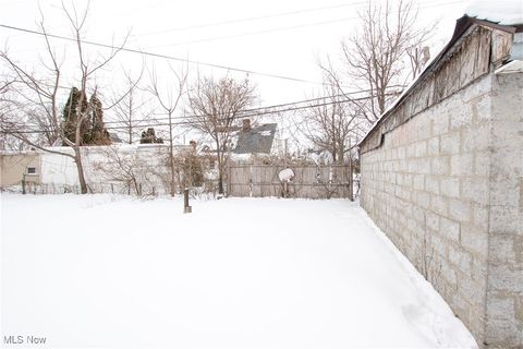 Tiny photo for 19901 Pawnee Avenue, Cleveland, OH 44119 (MLS # 5183698)