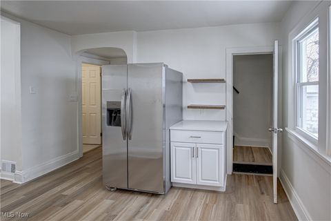 Tiny photo for 19901 Pawnee Avenue, Cleveland, OH 44119 (MLS # 5183698)