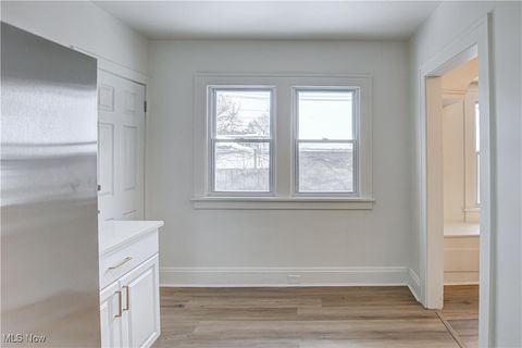 Tiny photo for 19901 Pawnee Avenue, Cleveland, OH 44119 (MLS # 5183698)