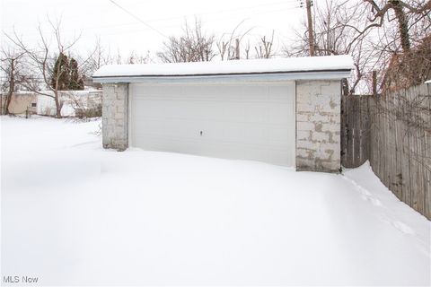 Tiny photo for 19901 Pawnee Avenue, Cleveland, OH 44119 (MLS # 5183698)