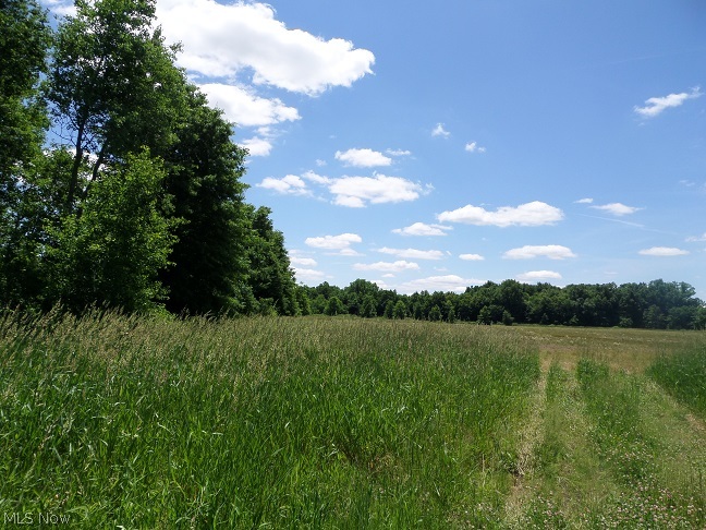 Beautiful property that offers it all! There is approx. 20 tillable acres and 25 wooded acres. A nice creek that runs through the rear of the property! There use to be an old house on the property so there could be a useable septic and well. Unknown. Great for hunting, four wheeling trails or build your new home! Mineral rights transfer with acceptable offer! Won't last at this price.