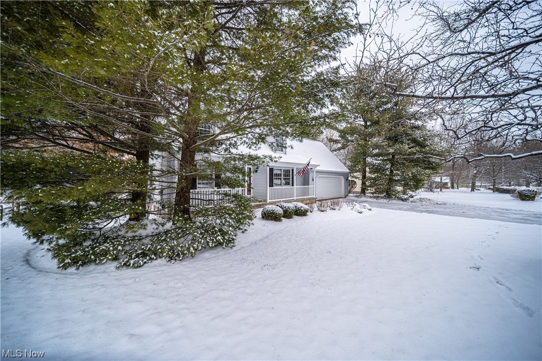 Jackson View - Residential