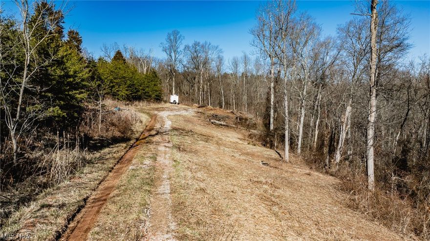 Explore the Possibilities on Glendale Road, Marietta!  This nearly 11.5-acre parcel offers a harmonious blend of nature and accessibility. Nestled along Glendale Road, it boasts a mix of woodlands, perfect for potential hunting enthusiasts, and a small cleared area, ideal for your dream cabin. Enjoy the tranquility of seclusion while having easy access to the interstate. An opportunity to build a private retreat or embrace the outdoors awaits! Don't miss out on making this slice of nature yours.