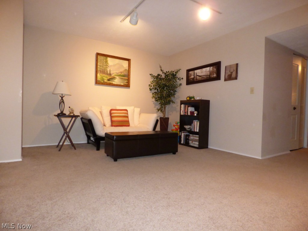 Woodland Lake Condo - Residential