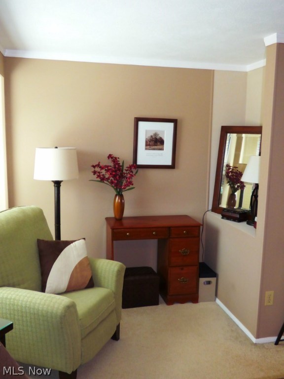 Woodland Lake Condo - Residential