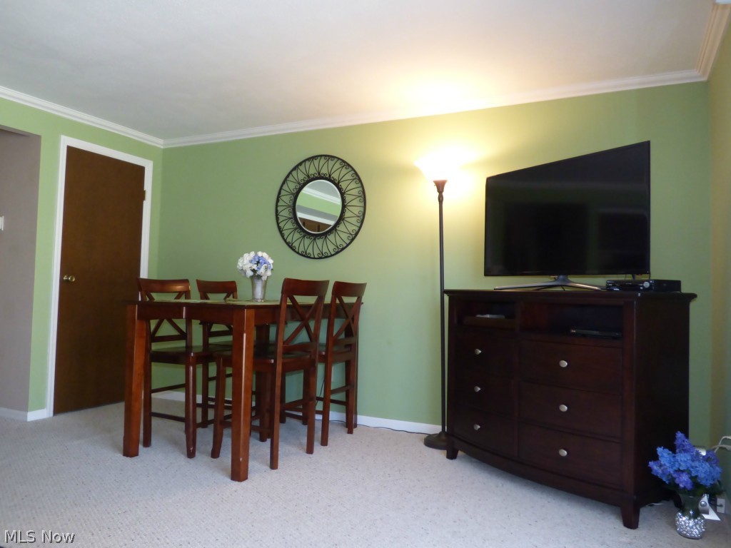 Woodland Lake Condo - Residential