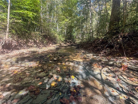 BUTTERMILK HILL RD NW, MCCONNELSVILLE, OH 43756 - Image 035df0c33febb10bd66dc9c7b166b093/2837646358