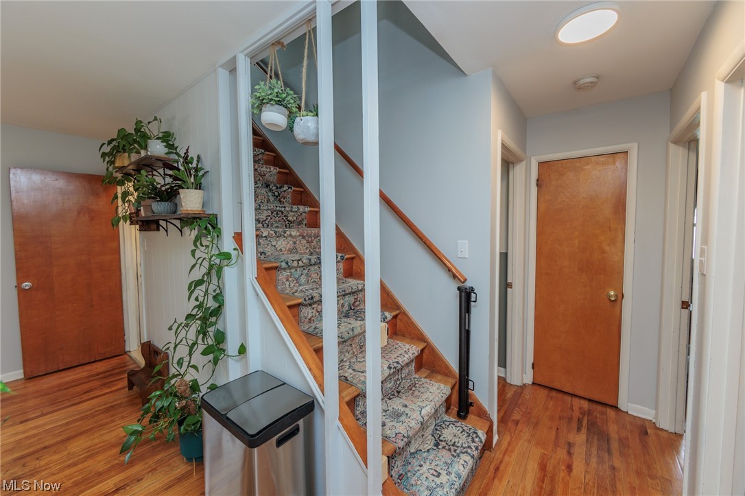 Maplewood Park Allotment #4 - Residential