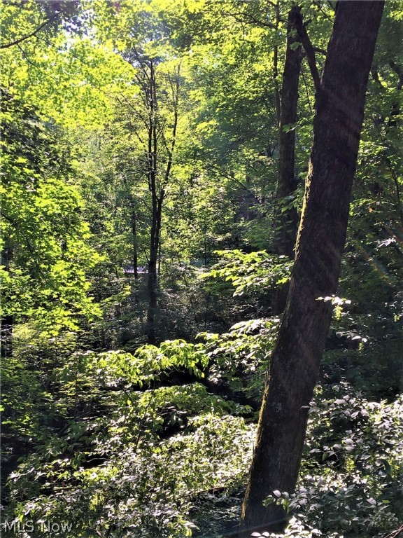 Rockwood Park 05 - Residential