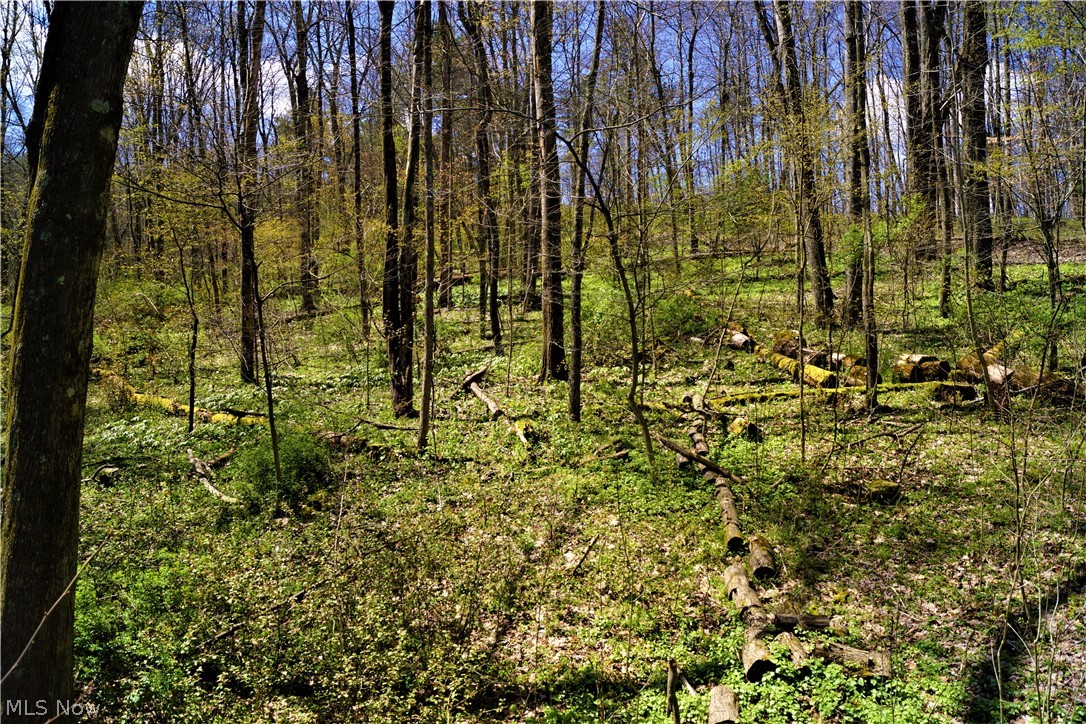 Rockwood Park 05 - Residential