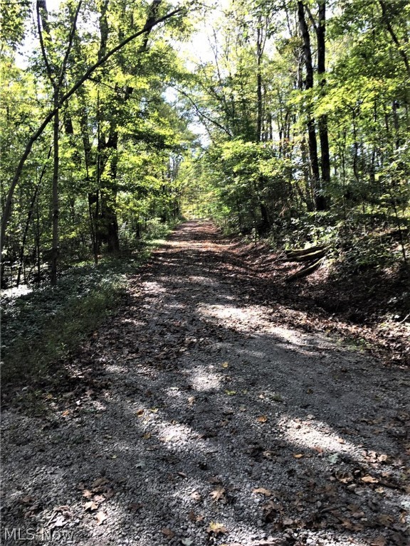 Rockwood Park 05 - Residential