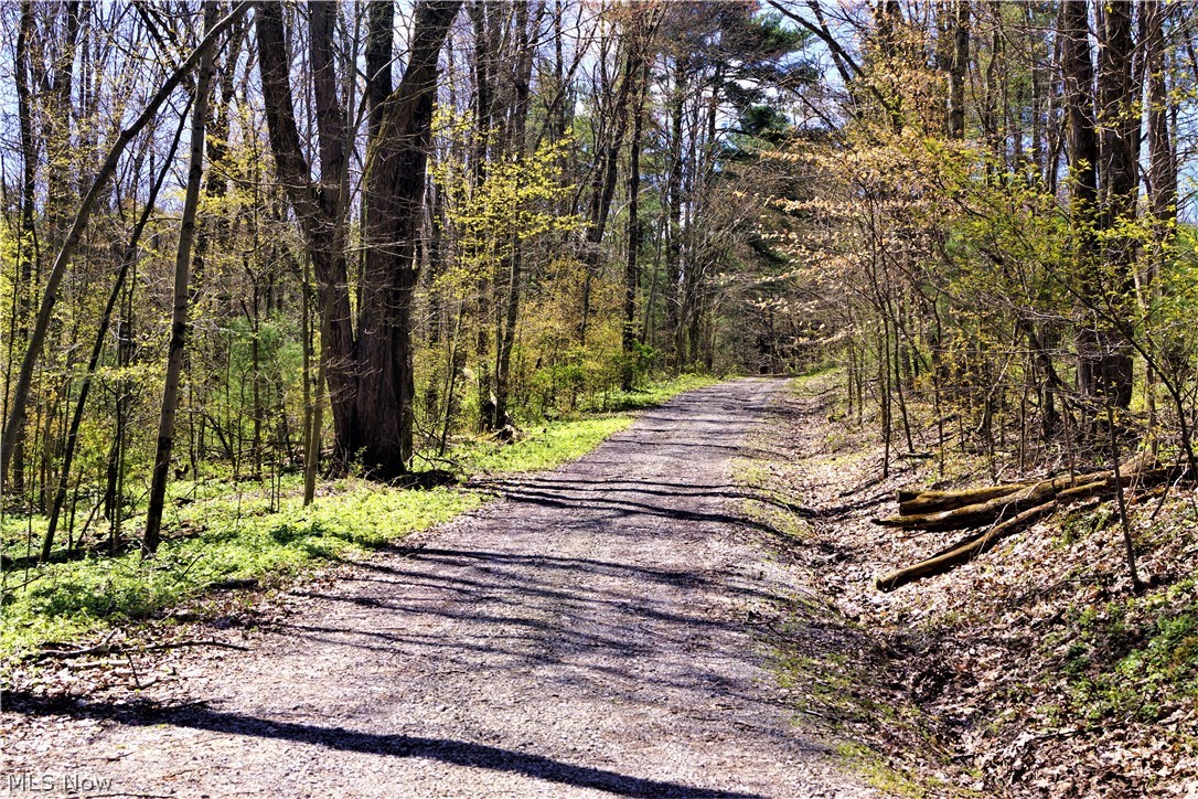 Rockwood Park 05 - Residential