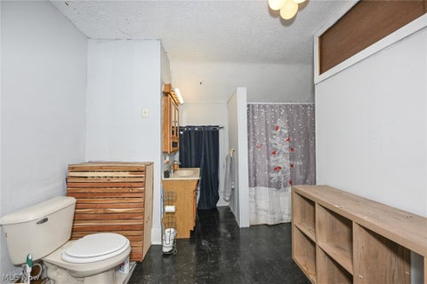 Tiny photo for 221 Mill Street, Lodi, OH 44254 (MLS # 5255662)