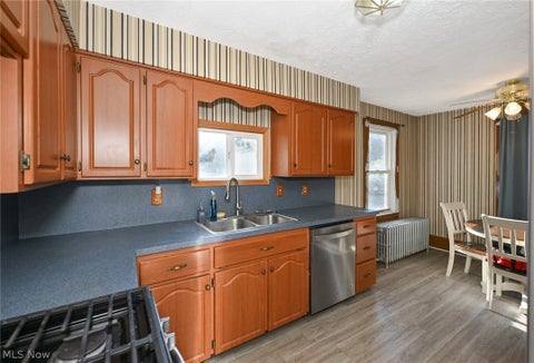 Tiny photo for 221 Mill Street, Lodi, OH 44254 (MLS # 5255662)