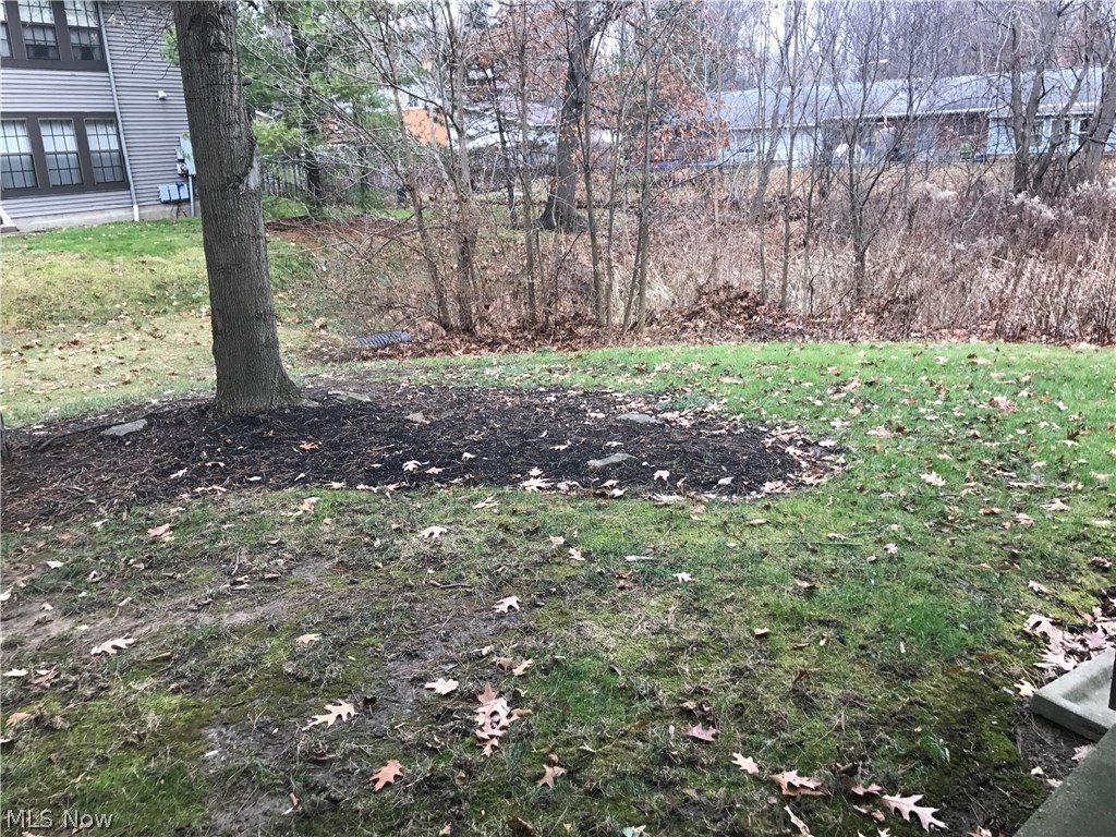 North Woods Condo - Residential