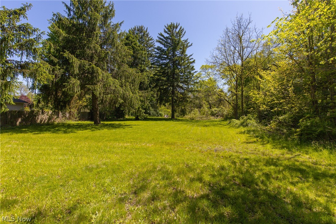 Morse Road - Land