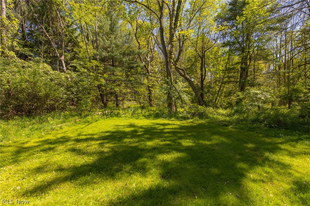 Morse Road - Land