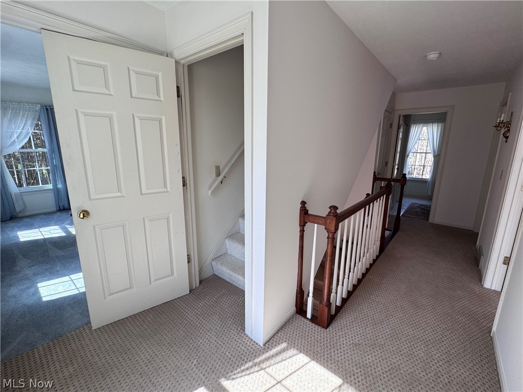 Taylor Woods Estate - Residential