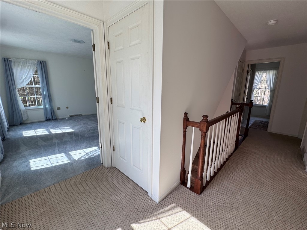 Taylor Woods Estate - Residential