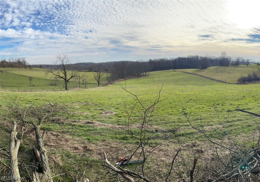 10 acre lot that could be used to build your dream home. Wooded frontage leads to large open farm land. County water is available at the street. Owner has started to clear some of the land. No mineral rights transfer with the property.