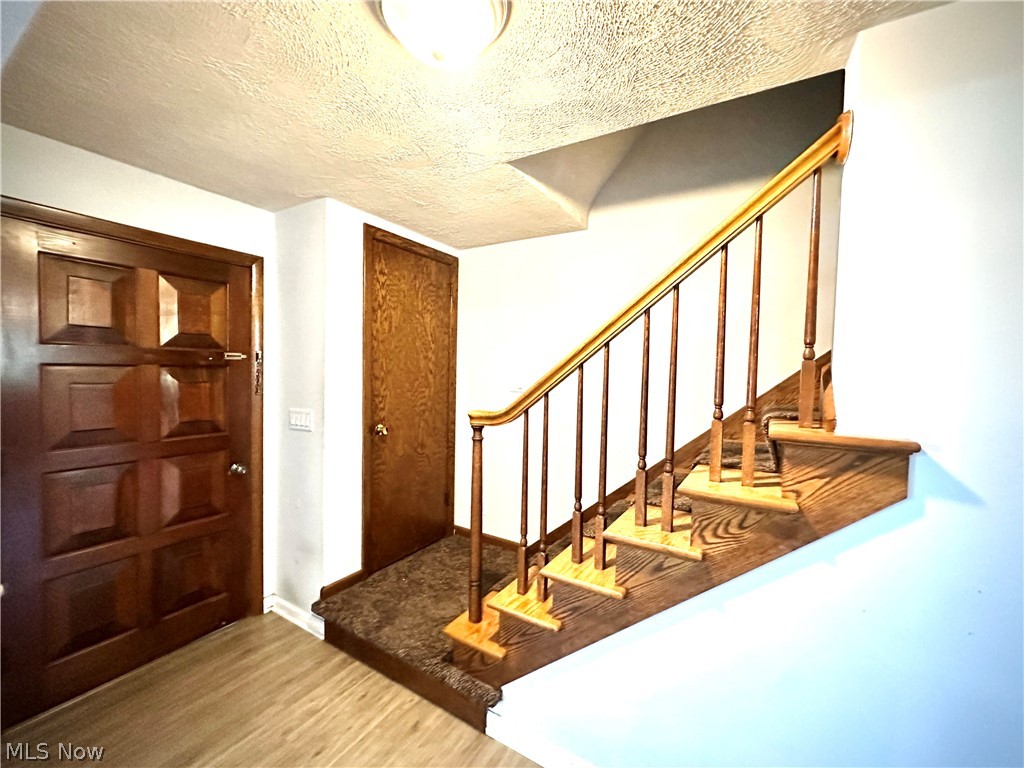 Forest Green 01 - Residential