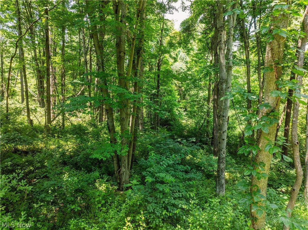 Lot 11 TOwnship Rd 51