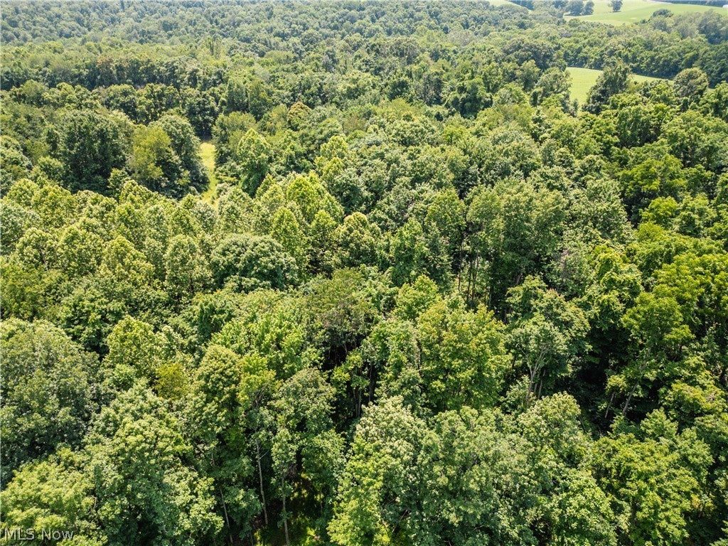 Lot 11 TOwnship Rd 51