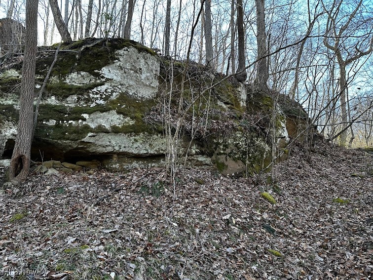 25977 E Hornsby Road, Coolville, Ohio image 34