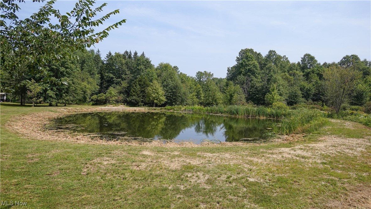 10792 Bloom Road, Garrettsville, Ohio image 7