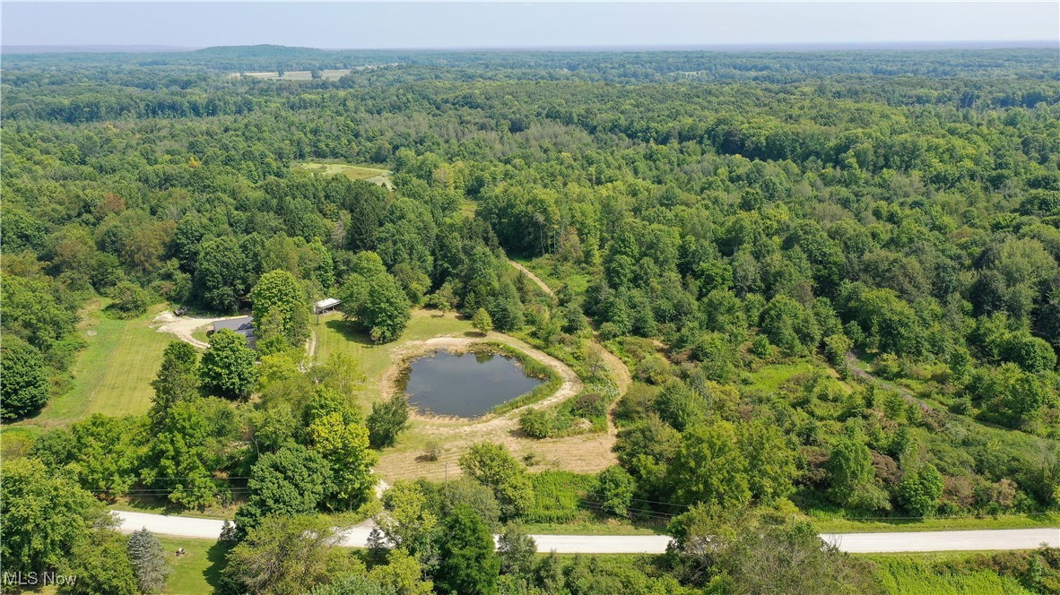 10792 Bloom Road, Garrettsville, Ohio image 9