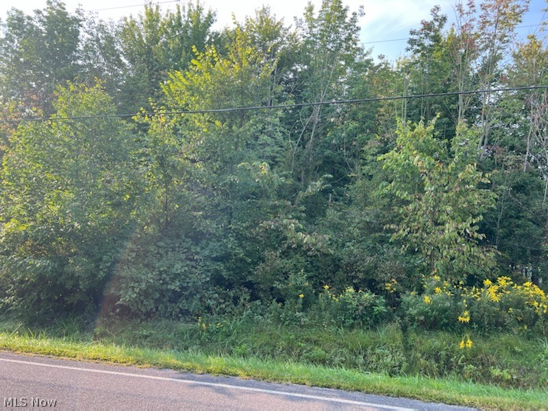 Look no further! This land is waiting for you to build your forever home on it! Nature lovers dream. Buildable wooded lot on the outskirts of Medina in Lafayette Twp. A little over 3.5 Acres in a rural setting with easy access to shopping, restaurants, and historic Medina Square. If building, the home will need a well and septic along with Gas or electricity for a heat source. Schedule your private showing today before it's gone!