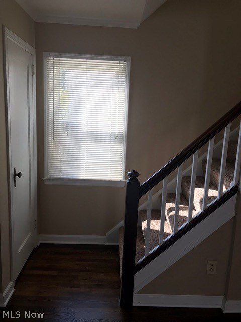 Woodland - Residential