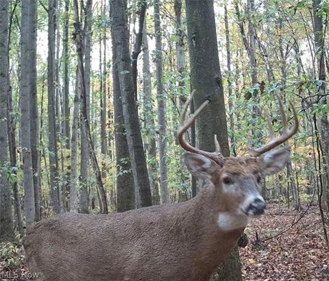 Tiny photo for 4852 White Road, Rock Creek, OH 44084 (MLS # 5185284)