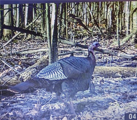 Tiny photo for 4852 White Road, Rock Creek, OH 44084 (MLS # 5185284)